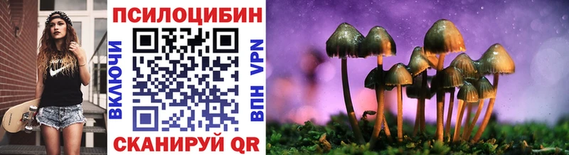 Купить  Карачев  Псилоцибиновые грибы ЛСД 